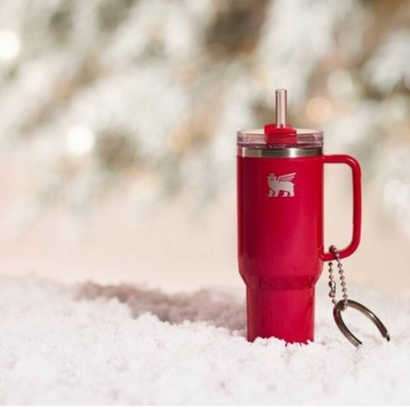 NEW Stanley Water Bottle Keychain Christmas Tree Ornament Red Delicious - Picture 8 of 10